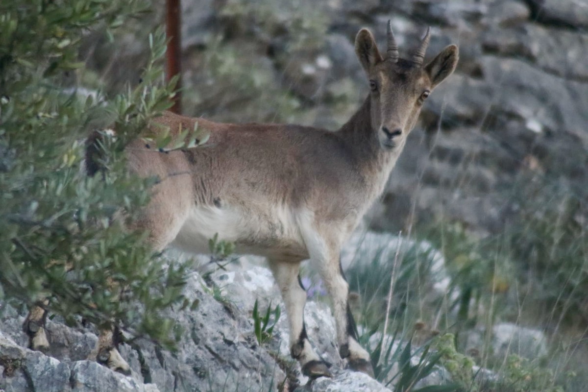 be042daf-9924-4307-87b2-4e171e3e3dcc